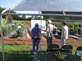 participants studying the posters detailing research