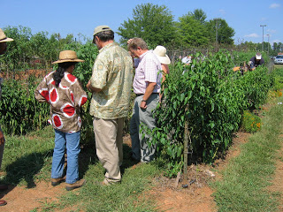 Attendees discussing beneficial insects at the Student Farm at the CCCC campus in Pittsboro