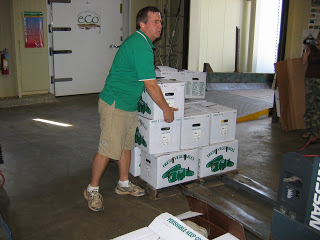 man moving produce boxes