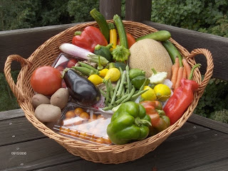 colorful basket of fresh vegetables