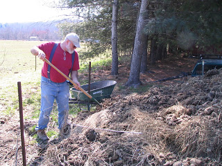 man planting trees