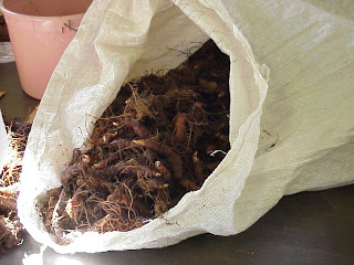 bag of roots