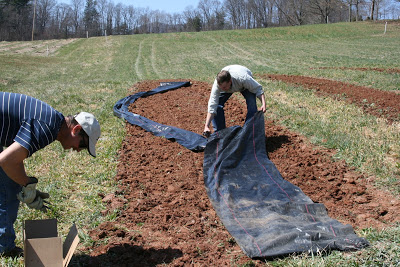 laying mulch in the bed