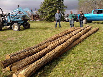 locust poles to be used to build hop yard