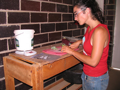 woman preparing samples for shipping