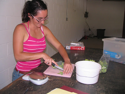 Preparing samples for nutritional analysis