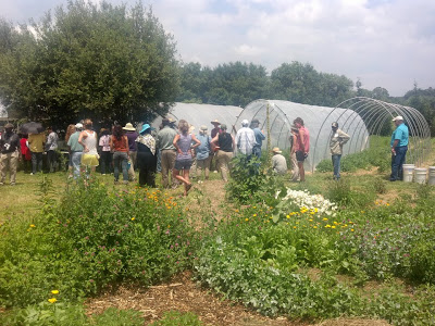 attendees visiting hoop houses