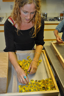 woman processing chrysanthemum flowers