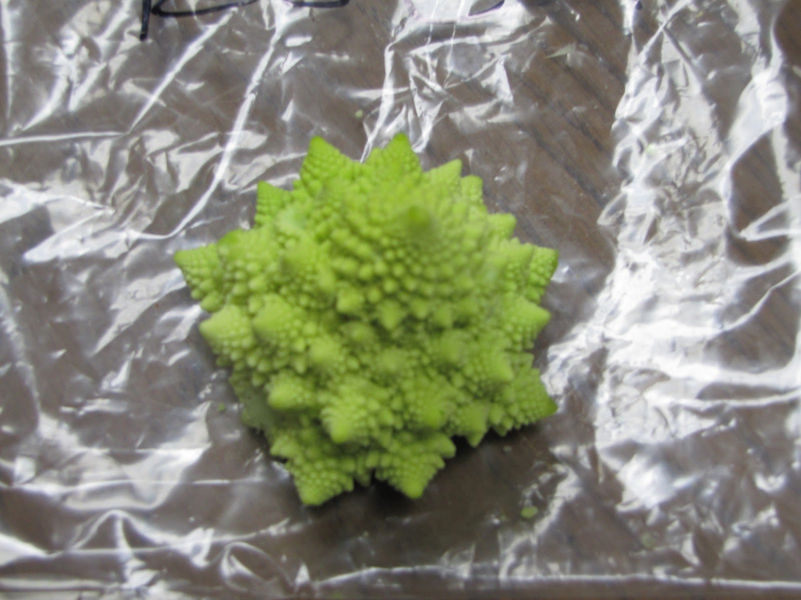 Tipoff Romanesco broccoli grown in 2012