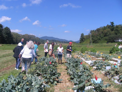 Field day participants looking at varieties