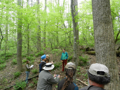 group of people visiting a woodland herbs site
