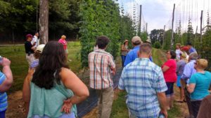 All-American Selection delegation viewing the research hop yard