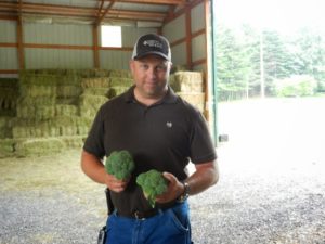 broccoli grower holding two harvested broccoli heads