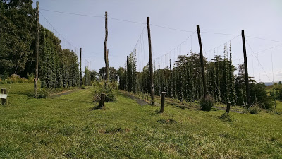 hop yard