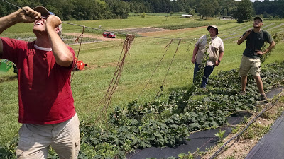 resetting the hop wires