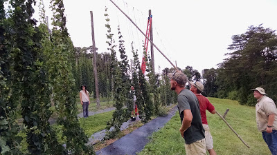 the restored hop yard