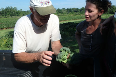 broccoli researchers