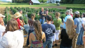 people in a tomato field at a field day