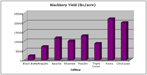 bar chart showing Average two year yield of eight blackberry cultivars grown in eastern North Carolina.