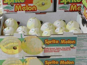 Sprite melons in shipping boxes