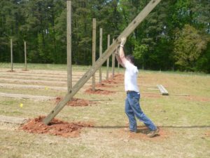 man setting a pole