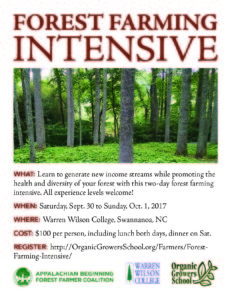 Cover photo for Beginning Forest Farming: A Weekend Workshop in Western NC