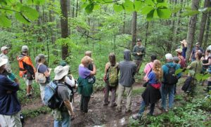 Cover photo for Adding Value to Your Forest Farming-a Weekend Workshop in the Mountains