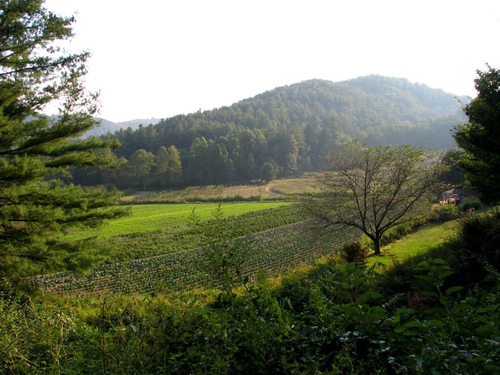 Western North Carolina mountain farm