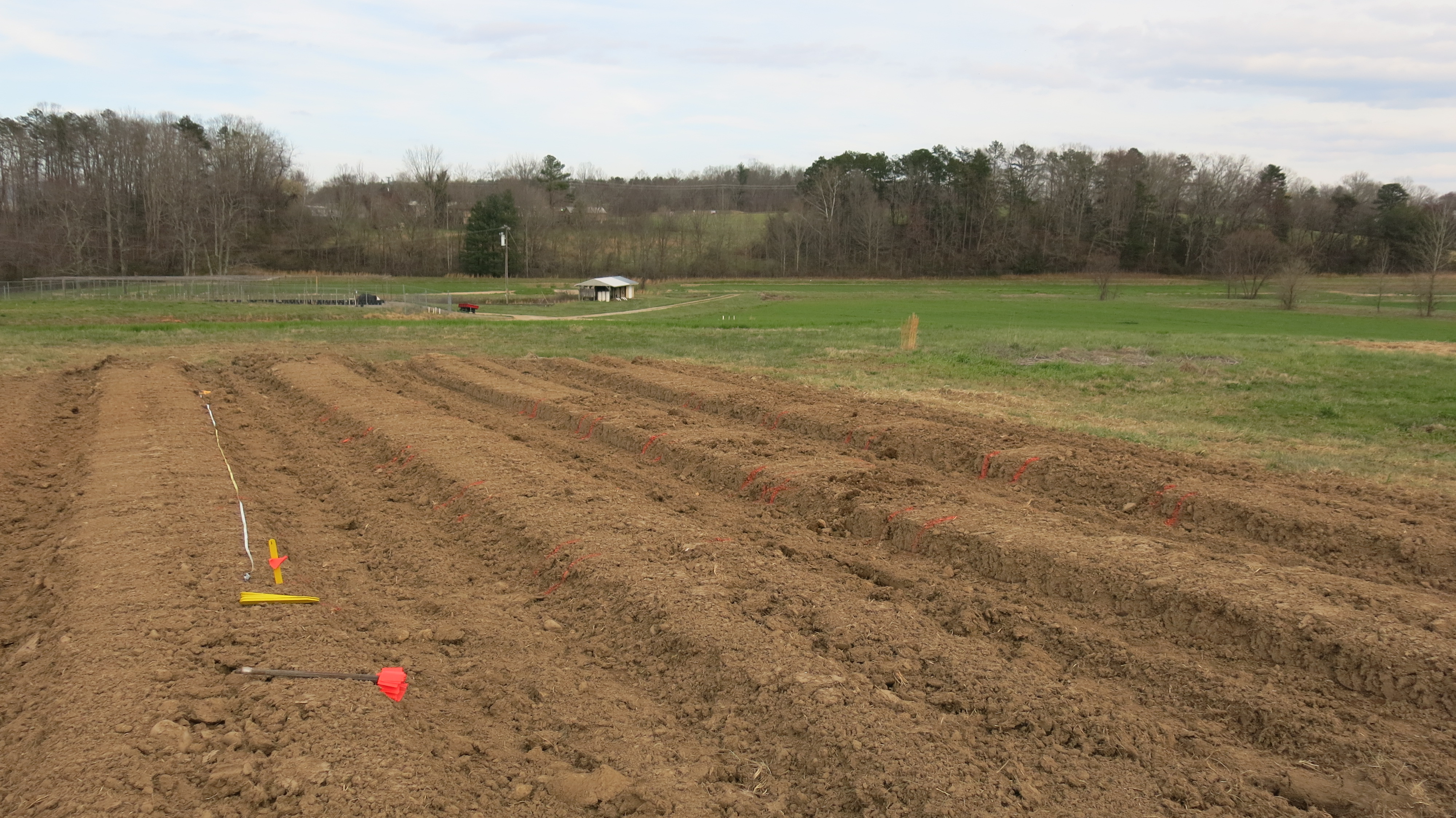 Seed beds prepped for planting image