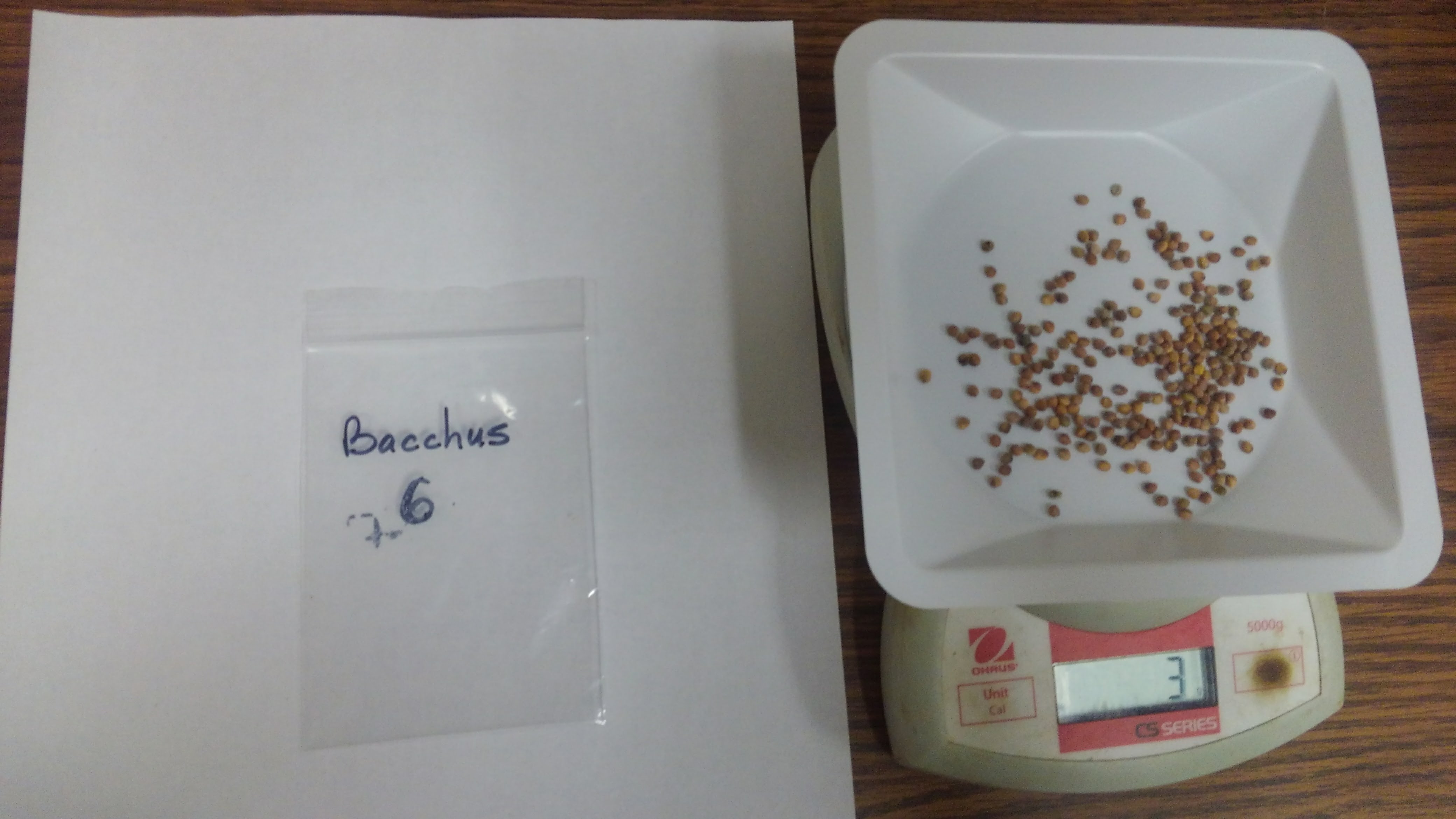 Weighing out seeds for the test plots image
