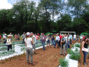 researcher talking to people in a field plot