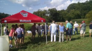 People looking at hemp research plots