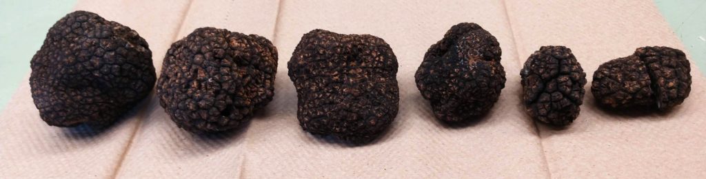 Six truffles