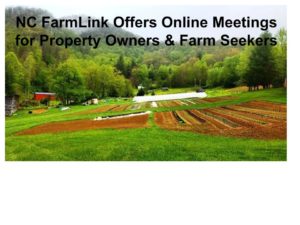 Cover photo for Let's Talk - NC FarmLink Goes Virtual