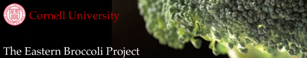 Eastern Broccoli Project logo