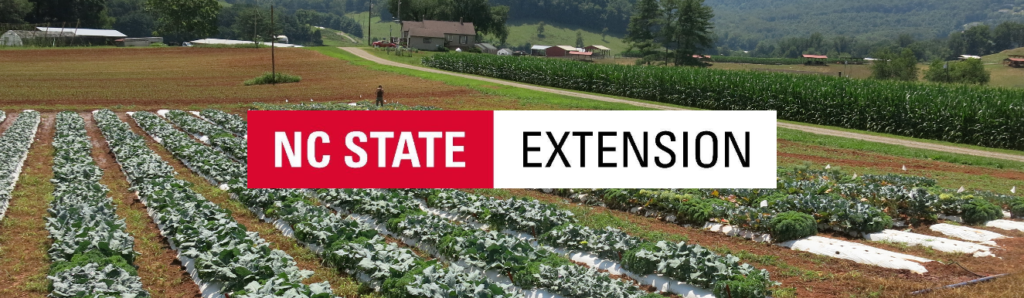 field of broccoli with NC Extension logo on top