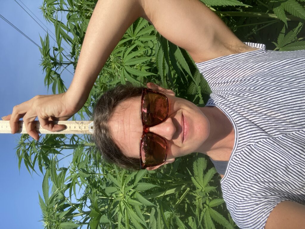 woman with yardstick in fiber hemp variety trial