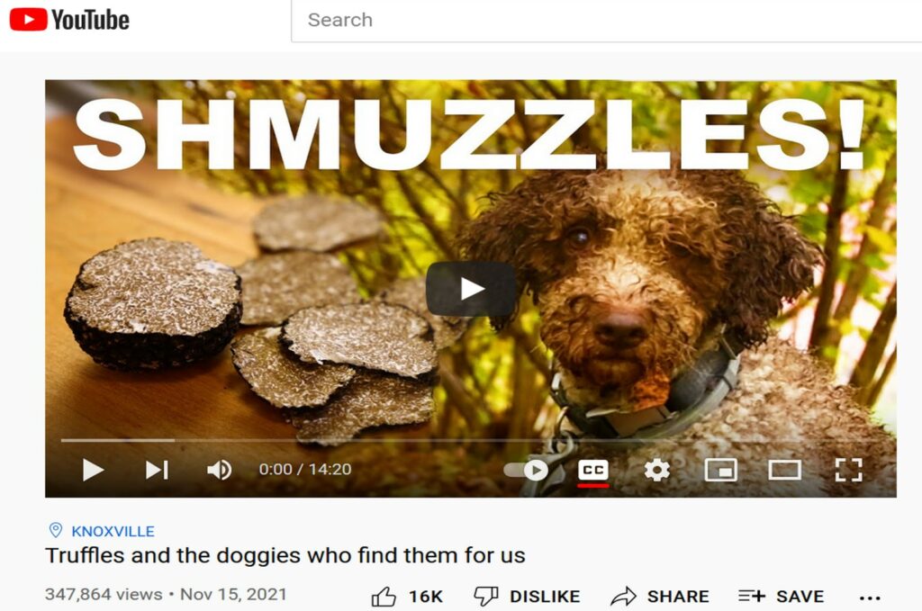Shmuzzles YouTube video