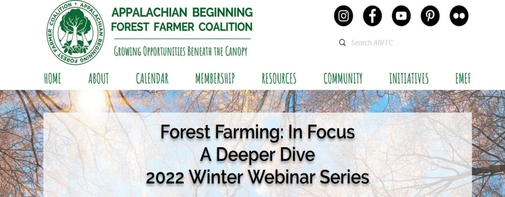 2022 Winter Webinar series: Forest Farming in Focus. A Deeper Dive.
