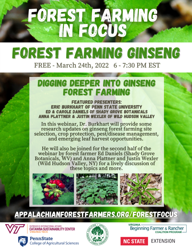 Flier for March 24, 2022 webinar on forest farming ginseng