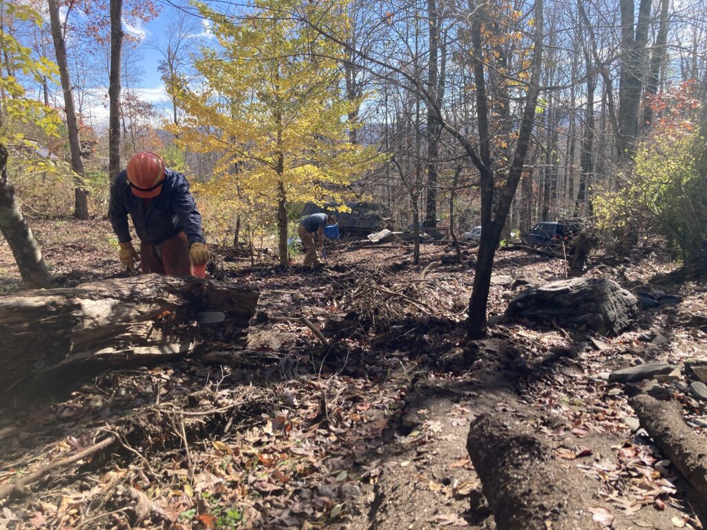 people with chainsaws doing post-hurricane clean up work