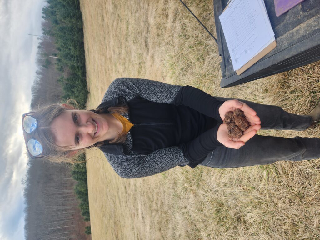 Young woman holding a handful of truffles recently harvested from a truffle orchard in North Carolina