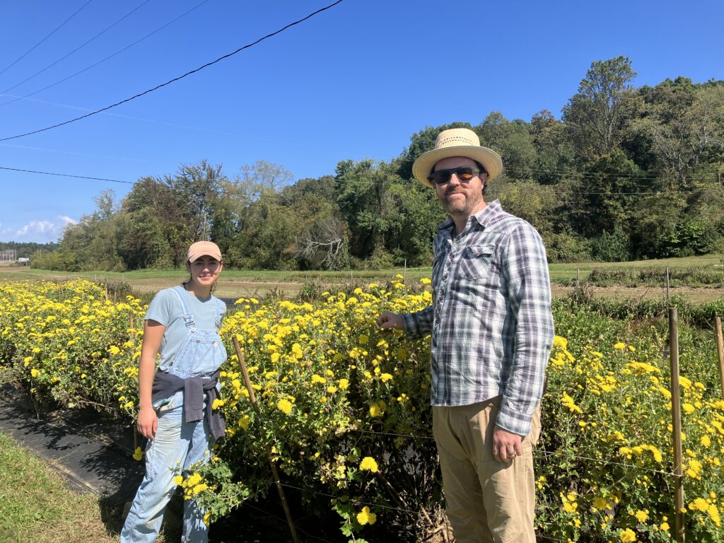 A young man and woman standing in a field of bright yellow flowers